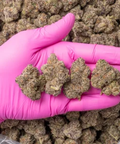 Buy Baked Bags weed in Australia