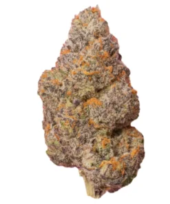 Buy Baked Bags Gushers – Premium THCa Flower