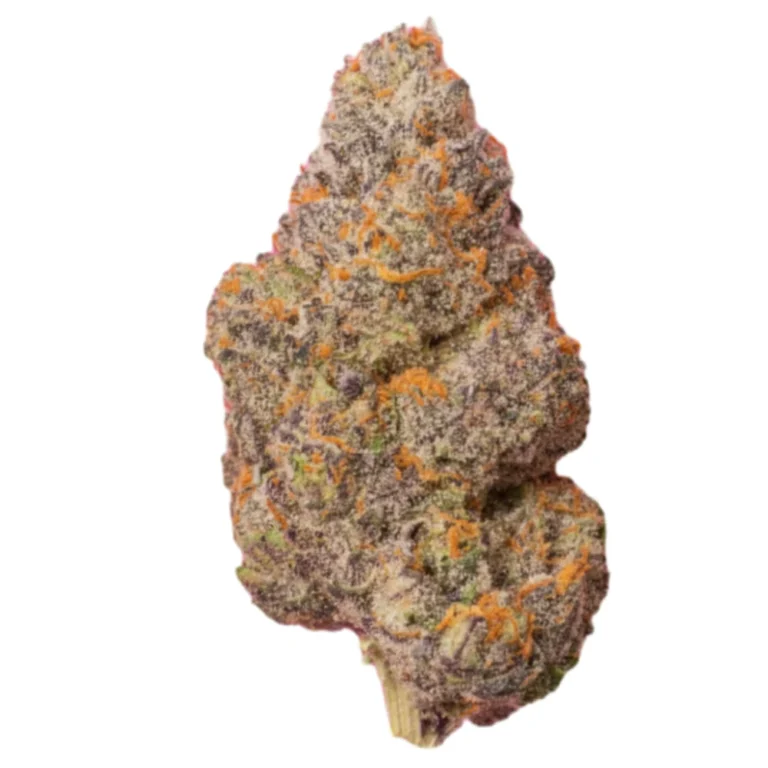 Buy Baked Bags Gushers – Premium THCa Flower