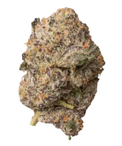 Buy Baked Bags Jungle Juice – Premium THCa Flower | 3.5g >33% THCa Australia